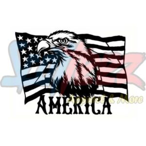 American Flag Eagle